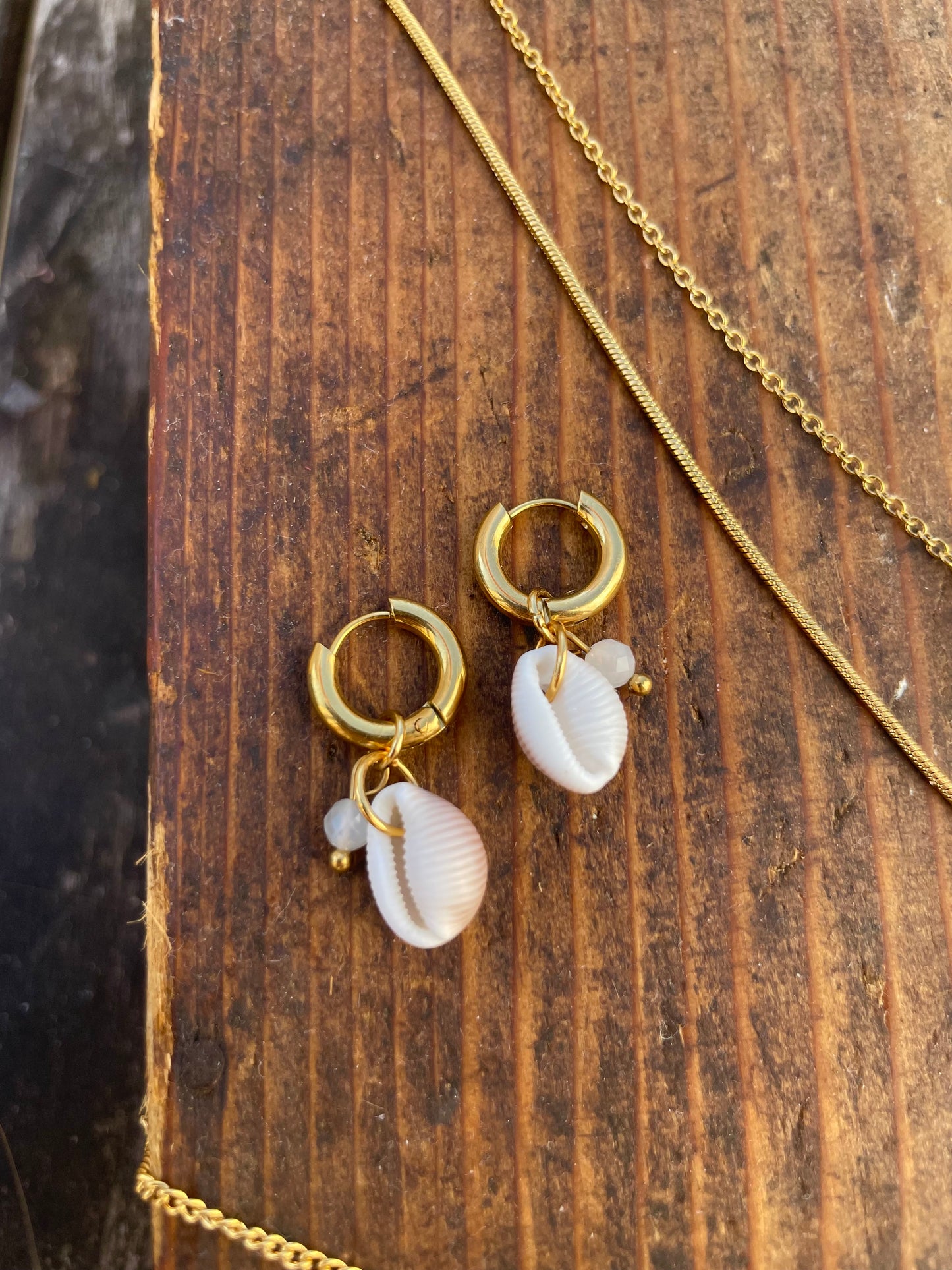 Kauri Muschel Ohrringe gold
