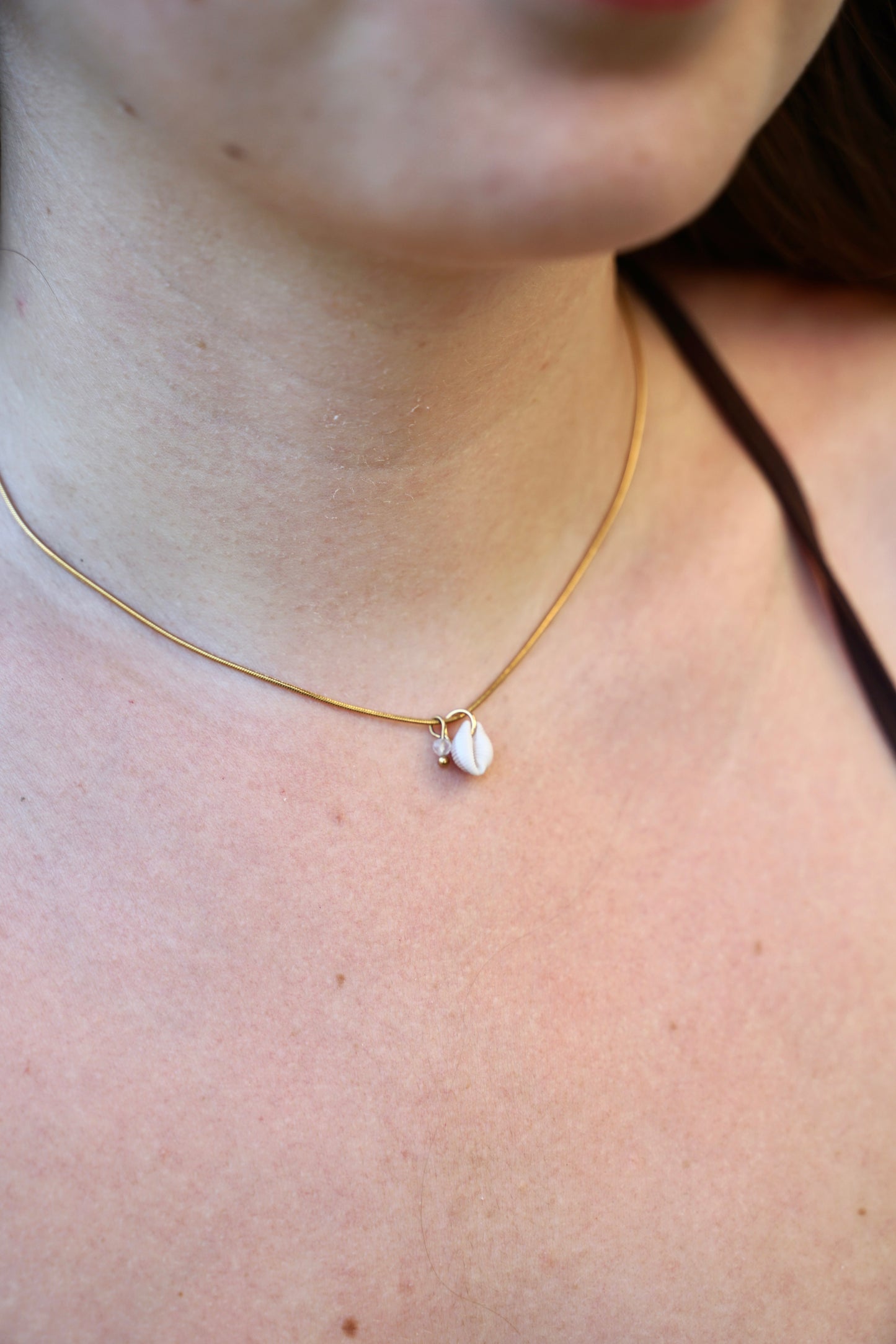 Kauri Muschelkette gold