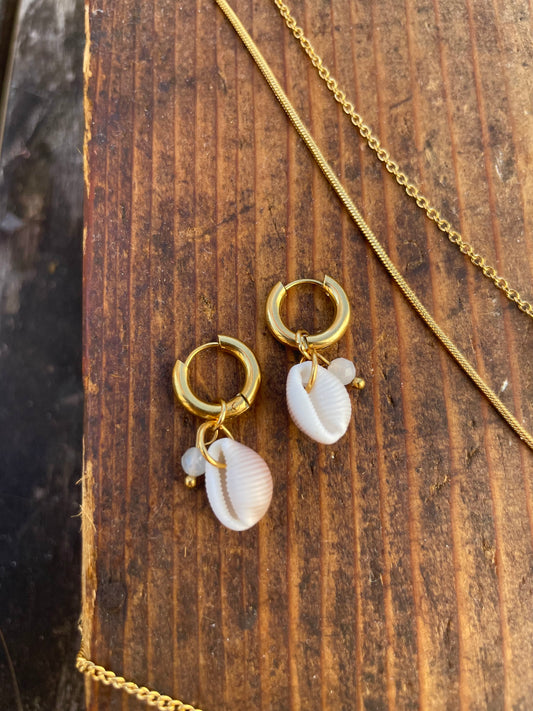 Kauri Muschel Ohrringe gold