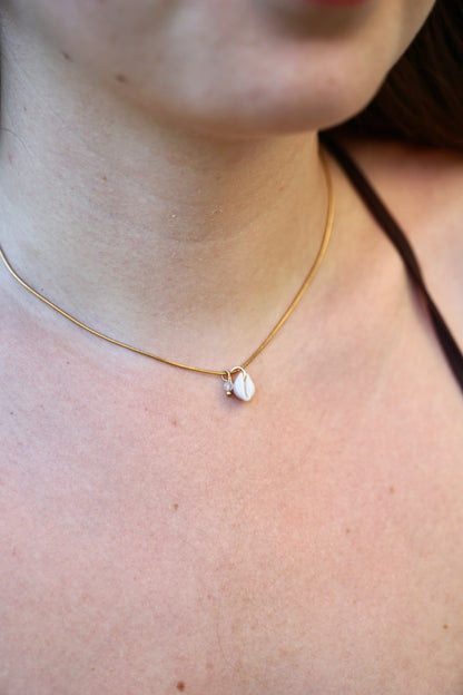 Kauri Muschelkette gold